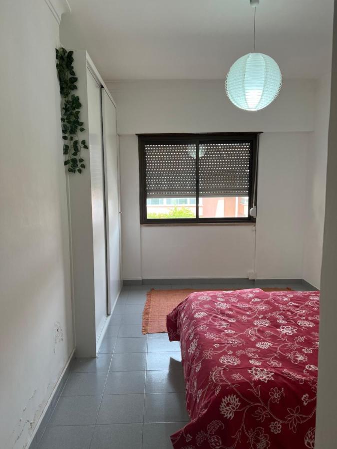 Charming House 2 Amadora